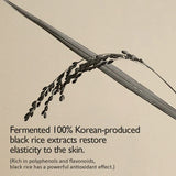 Haruharu WONDER - Black Rice Hyaluronic Cream 50 ML