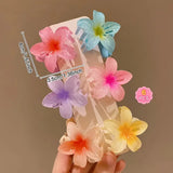 6pcs Gradient Flower Hair Clip Set | Mixed Colors