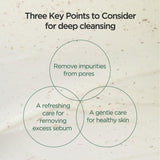 Anua - Heartleaf Quercetinol Pore Deep Cleansing Foam 150ml