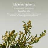 Abib Collagen Eye Crème Jericho Rose Tube 30ml