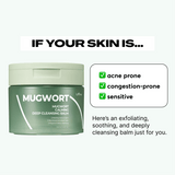 Isntree Mugwort Calming Deep Cleansing Balm 100ml