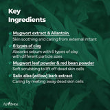 Isntree Real Mugwort Clay Mask 100ml
