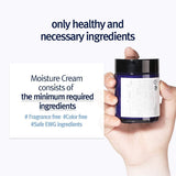 Pyunkang Yul Moisture Cream 100ml