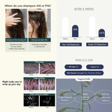 Treecell Night Collagen Shampoo, Midnight Forest 360ml