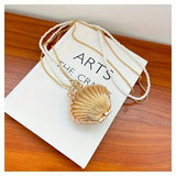 Metal Shell  Mini Bag
