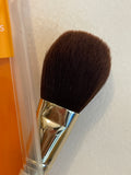 Shein - Powder Blush brush