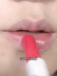 Sheglam POUT PERFECT SHINE LIP PLUMPER (10 Shades)