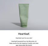Abib Acne Heartleaf Foam Cleanser 150 ml