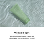 Abib Acne Heartleaf Foam Cleanser 150 ml