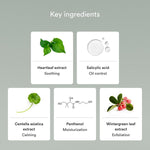 Abib Acne Heartleaf Foam Cleanser 150 ml