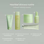 Abib Acne Heartleaf Foam Cleanser 150 ml