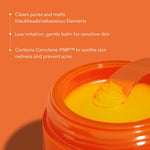 Aprilskin Carrotene IPMP™ Hydromelt Cleansing Balm (Spatula included)| 3.04 fl.oz.