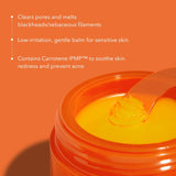 Aprilskin Carrotene IPMP™ Hydromelt Cleansing Balm (Spatula included)| 3.04 fl.oz.