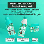 GARNIER ALOE VERA 3-IN-1 Moisturizing HAIR Food 390Ml
