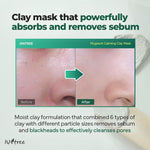 Isntree Real Mugwort Clay Mask 100ml