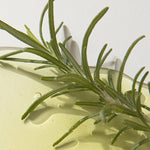 Kaine Rosemary AHA Night Serum - 30ml