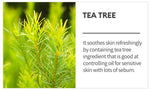 MISSHA Airy Fit Tea Tree Sheet Mask