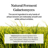 Mixsoon Galactomyces Ferment Essence 100ml