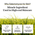 Mixsoon - Galactomyces Toner Pad 60 pads