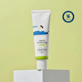 Buy ROUND LAB Birch Moisturizing Mild-Up Sunscreen SPF 50+, PA++++ online in Pakistan at DUBUY PK