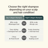 Treecell Day Collagen Shampoo Morning of Resort 360ml