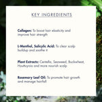 Treecell Night Collagen Shampoo, Midnight Forest 360ml