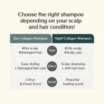 Treecell Night Collagen Shampoo, Midnight Forest 360ml