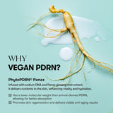 VT Cosmetics PDRN Capsule Cream 100 - 50ml