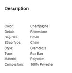 SHEIN Rhinestone & Gemstone Decor fancy Box Bag